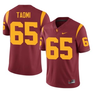 Limited Erwin Taomi Cardinal USC Trojans #65 Mens Jersey 656837-662