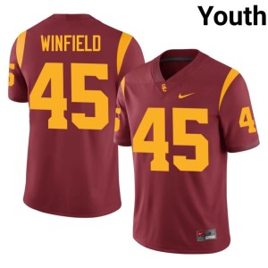 Stitched Cardinal Jaimeon Winfield Youth #45 SC Jersey 201027-262